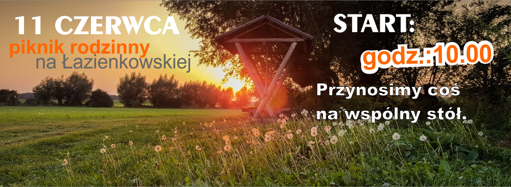 Zakończenie roku – piknik rodzinny na Łazienkowskiej